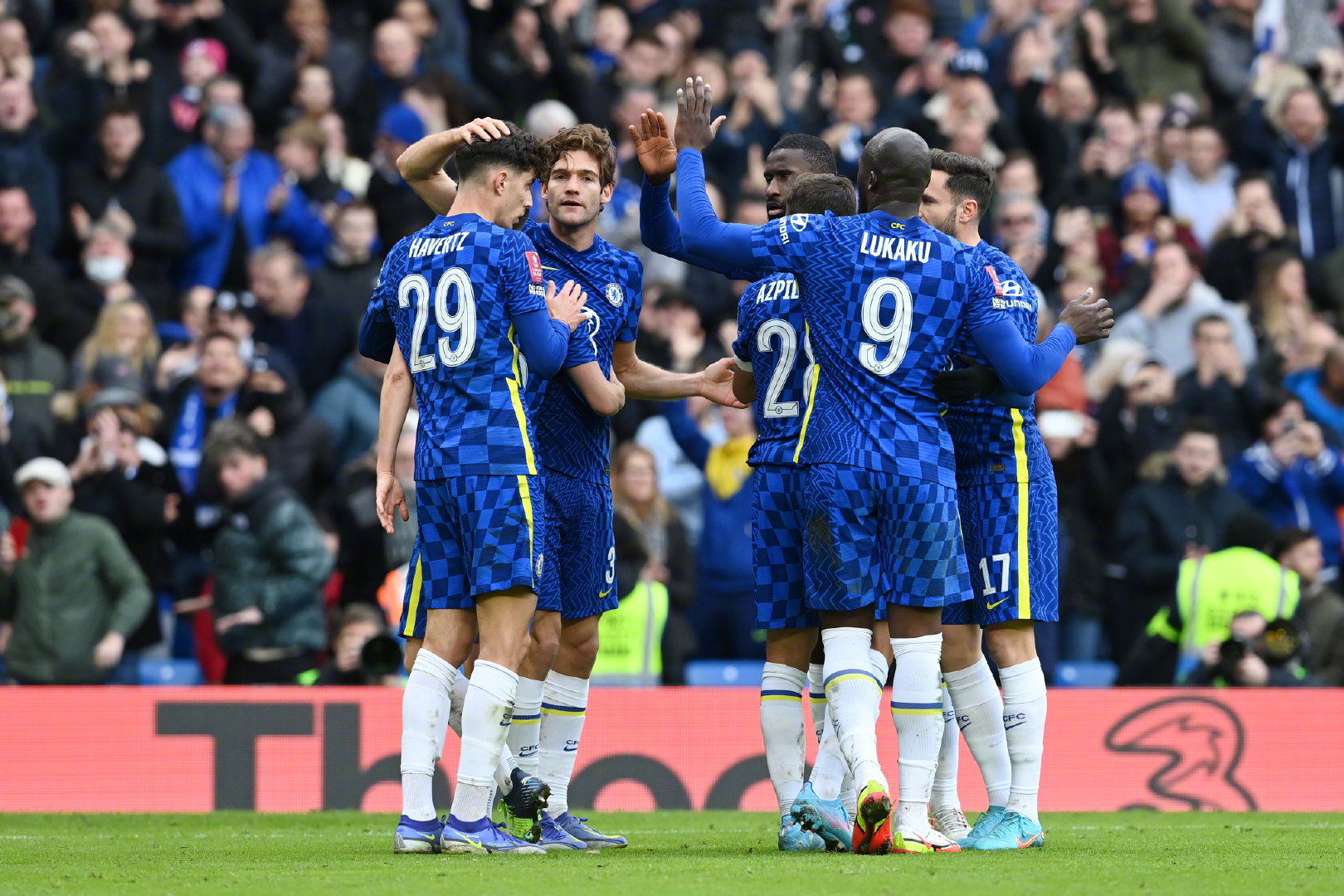 灰熊的管理 灰熊的管理